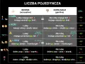 Tabela porównuje przypadki biernik i dopełniacz, pokazując, jak zmienia się partykuła w zdaniach.