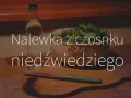 Nalewka z czosnku niedźwiedziego: Dawkowanie, korzyści i przeciwwskazania