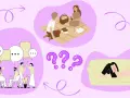 Związek introwertyka z ekstrawertykiem: piknik we dwoje, rozmowy w grupie, samotność i pytania.