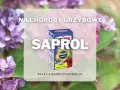 Oprysk Saprol na choroby grzybowe roślin ozdobnych. Zwalcza i chroni.