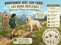 Une randonneuse et son chien croisent un Patou protégeant son troupeau de moutons en montagne. Conseils pour une cohabitation sereine.