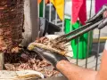 Doner Kebab: Co to? Historia, różnice i jak wybrać najlepszy!