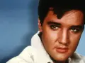 Elvis Presley, mit seinem ikonischen Blick, singt "Love Me Tender".