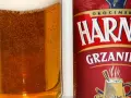 Gdzie kupić Harnaś Grzaniec? Sezon, cena, gdzie szukać