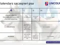 Dzień szczeniaka: Harmonogram i porady Klucz do szczęśliwego psa!