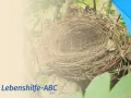 Leeres Vogelnest, Symbol für das "empty nest syndrom". Text: Das Lebenshilfe-ABC.