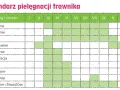 Kalendarz pielęgnacji trawnika: nawożenie, podlewanie, koszenie, wapnowanie, wałowanie, wertykulacja, aeracja, piaskowanie, dosiewanie i zwalczanie chwastów w poszczególnych miesiącach.