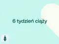 6 tydzień ciąży. Delikatne tło z sercem i ikonami D+ oraz kobiety w ciąży.