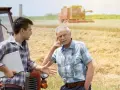 Traktor czy ciągnik? Ekspert wyjaśnia, kiedy używać obu nazw
