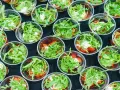 Jak założyć firmę cateringową? Przewodnik krok po kroku i koszty startu