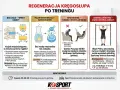 Krążki międzykręgowe jak gąbki potrzebują nawodnienia, by dobrze funkcjonować. Pij wodę regularnie, by utrzymać turgor tkanek.