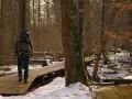 Osoba z plecakiem idzie drewnianą kładką przez zaśnieżony las, jakby przemierzała carska tropina.
