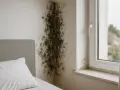Un coin de chambre envahi par la moisissure sur le mur, près d'un lit et d'une fenêtre.