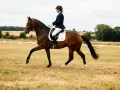 Une cavalière en tenue de compétition exécute un mouvement de dressage sur son cheval bai dans un pré.