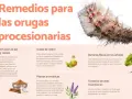 Remedios para orugas procesionarias: infusión de ajo, aceite de neem, plantas aromáticas, barreras físicas y fomento de aves insectívoras para controlar cómo eliminar la procesionaria en el suelo.