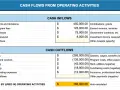 Nonprofit financial planning: A cash flow statement showing inflows from grants, fees, and contracts, and outflows for salaries, rent, and fundraising.