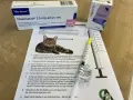 Wichtige Medikamente bei Schilddrüsenüberfunktion bei Katzen und ihre Wirkung