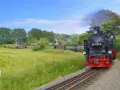 Parowóz z wagonami jedzie przez zielone pola, jakby to był dojazd z Polski do Rugii.