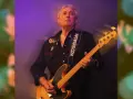 Nick Simper spielt Bassgitarre auf einer Bühne, beleuchtet von lila und grünen Lichtern.