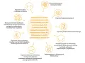 Diagram przedstawia korzyści z probiotyków, m.in. wsparcie w walce z nadwagą, poprawę funkcji poznawczych i tolerancji metforminy.
