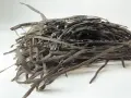 Un tas de spaghetti de mer séchés, ressemblant à des fils sombres et ondulés, prêts à être réhydratés pour un plat savoureux.