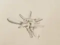 Un dessin réaliste d'un trousseau de clés, avec une poignée en bois et plusieurs clés métalliques disposées en étoile.