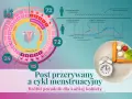 Cykl menstruacyjny i dieta post przerywany: wykresy hormonów, kalendarz cyklu, zegar i warzywa.