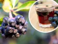 Herbata z aronii: Przepisy, idealny smak i zdrowotne sekrety