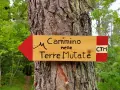 Cartello in legno con freccia rossa indica il "Cammino nelle Terre Mutate". CTM.