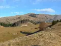 Sentieri facili sul Monte Grappa, con un escursionista che percorre un crinale erboso verso una casa isolata e la cima della montagna in lontananza.