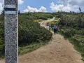 Grupa turystów podąża kamienistym szlakiem przez gęste kosodrzewiny na Pilsku.