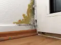 Gelber und schwarzer Schimmel breitet sich in der Ecke einer Wand aus. Dies ist ein Fall, in dem man Schimmel dem Vermieter melden muss.