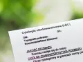 Wynik cytologii cienkowarstwowej (LBC). Dokument porównuje cytologię płynną a zwykłą, oceniając jakość rozmazu.