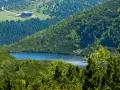 Widok na górskie jezioro i schronisko Samotnia w Karkonoszach. Otoczone zielenią, lasem i skalistymi zboczami.