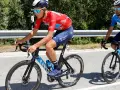 Cyclists in red and blue vuelta jerseys race on a sunny road, with lush green trees lining the background.