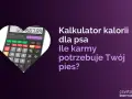 Kalkulator kalorii dla psa pomoże Ci ustalić, ile powinien jeść labrador szczeniak. Oblicz idealną porcję karmy dla swojego pupila.