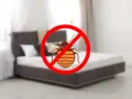 Señal de prohibido sobre un chiche en un colchón. Aprende como eliminar chinches del colchon y recupera tu descanso.