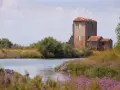 Rovine di un antico edificio tra canneti e fiori viola, un paesaggio suggestivo nei dintorni di Ferrara.
