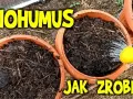 Jak zrobić humus nawóz w prosty sposób i zadbać o rośliny
