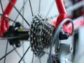 Zbliżenie na kasetę i przerzutkę tylną roweru. Dowiedz się, jak myć rower, by utrzymać go w idealnym stanie.