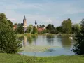 Idyllischer Elsenzer See mit Seerosen, Bäumen und einer Kirche im Hintergrund. Ein Boot mit zwei Personen treibt auf dem Wasser.