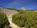 Kamienista ścieżka, niebieski szlak na Giewont, wśród kosodrzewin i skalistych zboczy. Na szczycie widoczny krzyż.