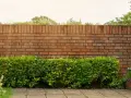 Eine Ziegelmauer im Garten, umgeben von üppigem Grün und blühenden Pflanzen. Tolle Ideen für Gartenmauern, die Privatsphäre und Schönheit vereinen.