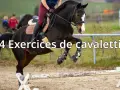 Un cheval brun saute par-dessus un obstacle de **cavaletti équitation**. Le cavalier est en selle, prêt pour l'entraînement.