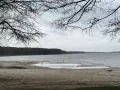 Plaża nad jeziorem, z widokiem na las. W oddali widać słupy, być może pozostałości po dawnej infrastrukturze pola namiotowego Anastazewo.