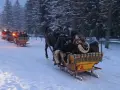 Zimowa przejażdżka kuligiem przez ośnieżony las. Ludzie w saniach, otuleni kocami, cieszą się mroźnym powietrzem.