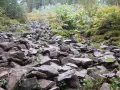 Kamieniste zbocze w rezerwat gołoborze, porośnięte mchem i niską roślinnością.