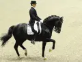 Un cavalier en habit de soirée monte un cheval noir, Totilas, dans une arène de dressage.
