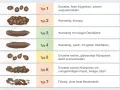Stuhlformen von Typ 1 (hart, klumpig) bis Typ 7 (flüssig). Bei keinem Stuhlgang ab wann bedenklich? Die Grafik zeigt verschiedene Stuhltypen.