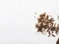 Éclats de grué de cacao sur fond blanc, rappelant les nombreux bienfaits de cet ingrédient naturel.